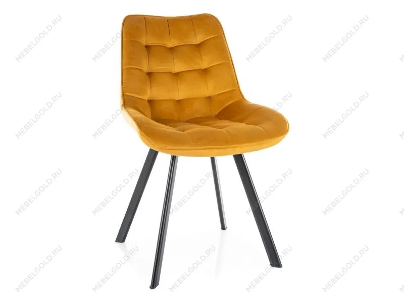 Стул кухонный Signal MONTI Velvet Bluvel 68 поворотный (карри/черный, поворотный)