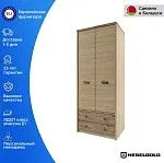 Шкаф 2-створчатый Дизель 2DG2S/D1 | изображение 1