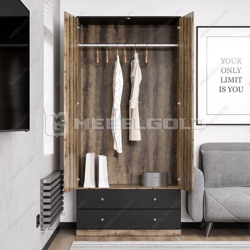 Шкаф 2-створчатый Джаггер 2DG2S | изображение 3