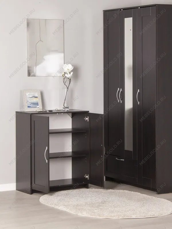 Тумба Сириус, 2 двери, 78х41х95 см, дуб венге, черно-коричневая | изображение 2