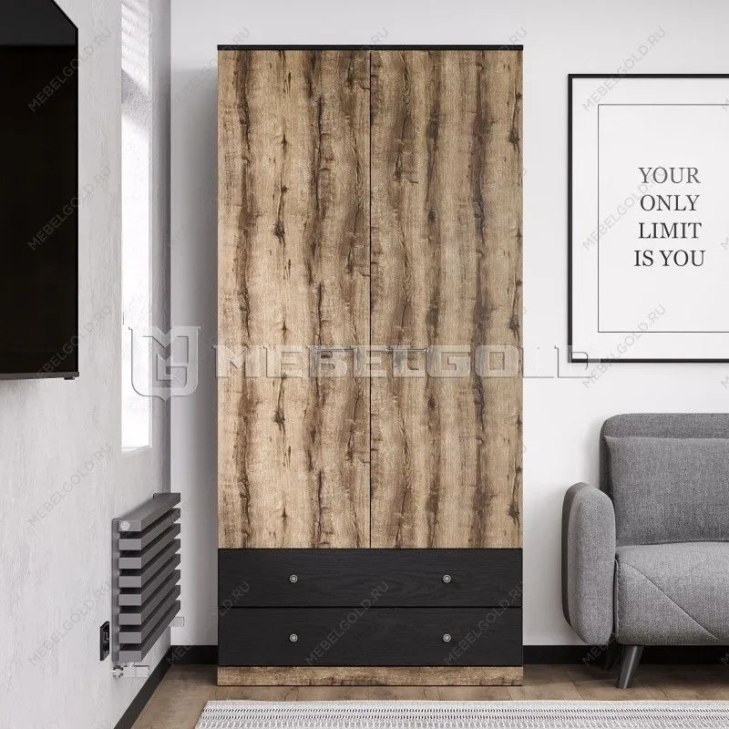 Шкаф 2-створчатый Джаггер 2DG2S | изображение 1