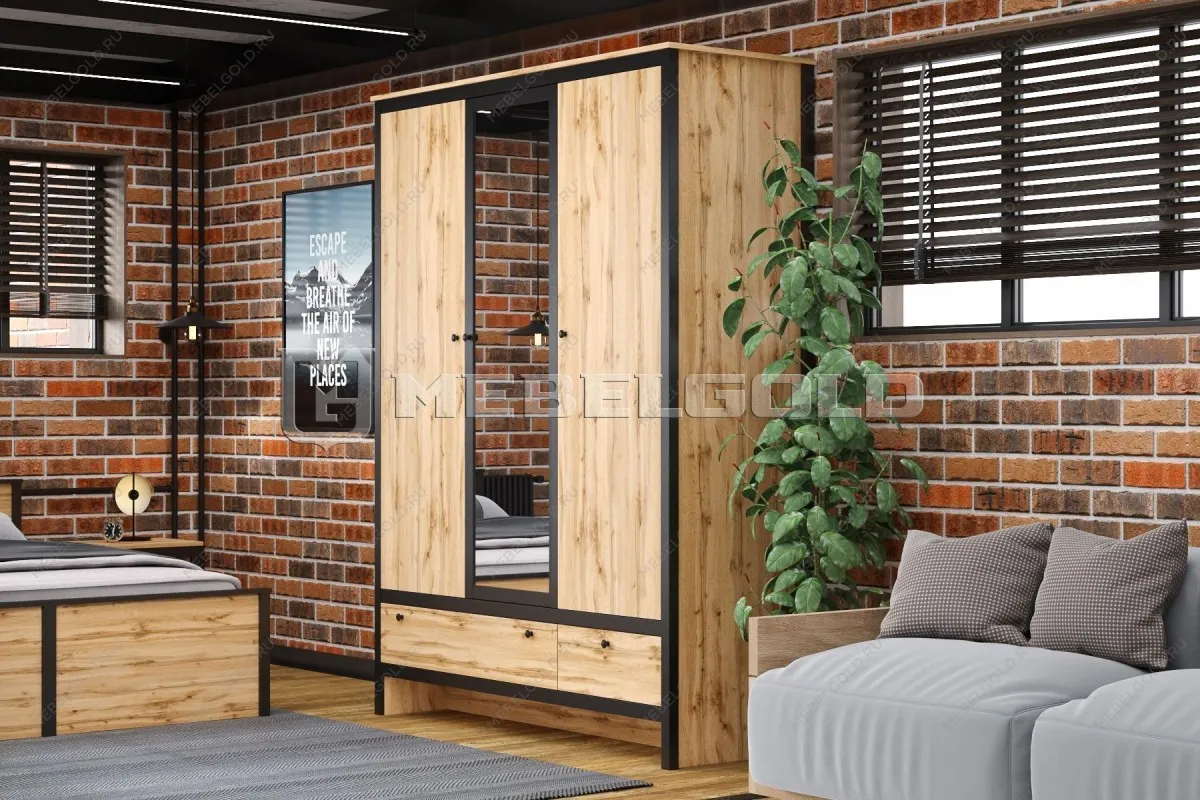 Шкаф Лофт SZF3D2S | изображение 2