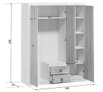 Шкаф платяной Коен SZF3D2S ясень снежный | изображение 2