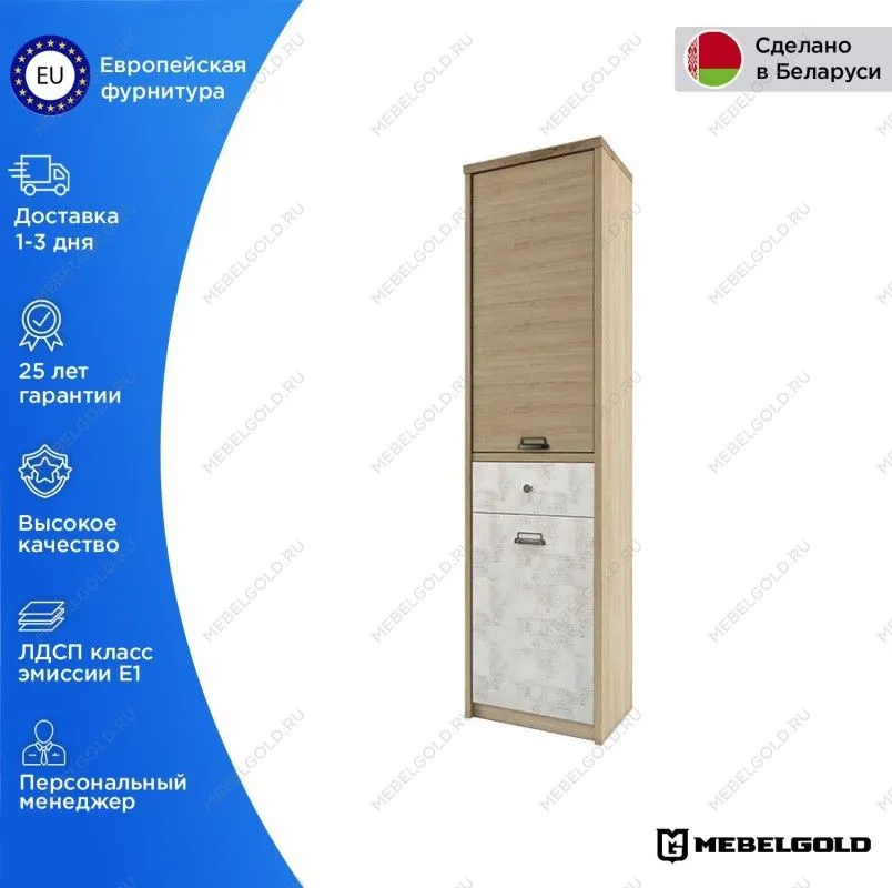 Шкаф 1-створчатый Дизель 2D1S/D2 | изображение 1