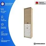 Шкаф 1-створчатый Дизель 2D1S/D2 | изображение 1