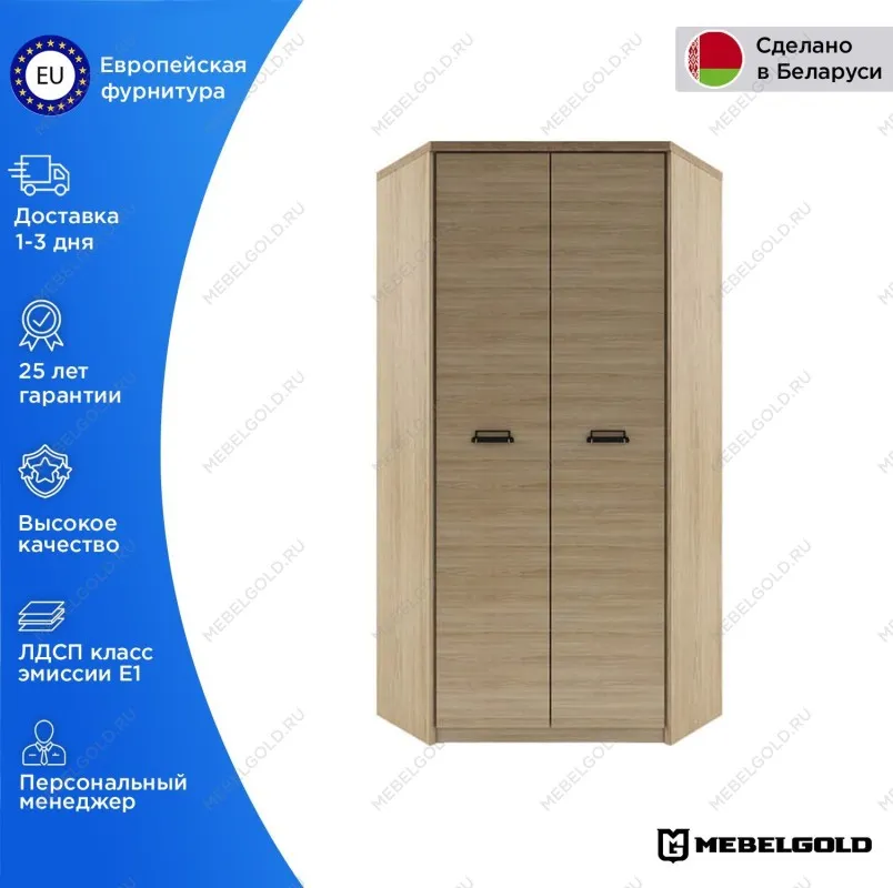 Шкаф угловой Дизель 2D | изображение 1