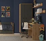 Шкаф Грейс SZF2D2S | изображение 2