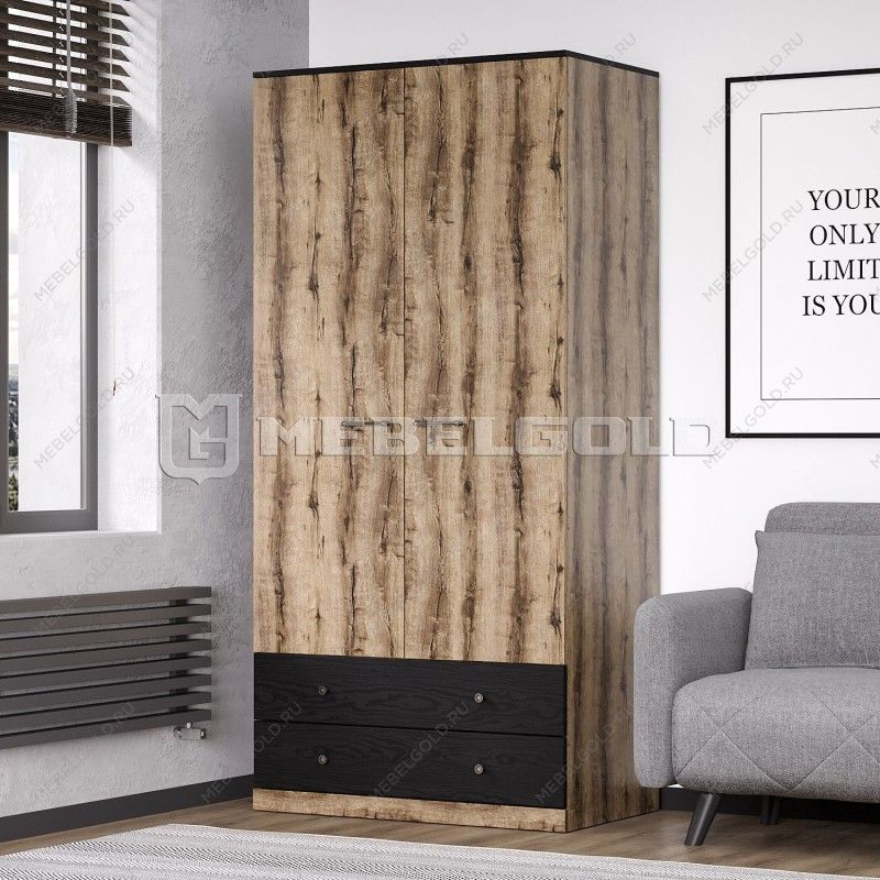 Шкаф 2-створчатый Джаггер 2DG2S | изображение 2