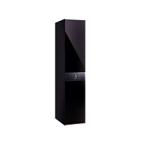 Шкаф 1-но дверный Римини СОЛО (Черный/Серебро) РМШ2/1(s)