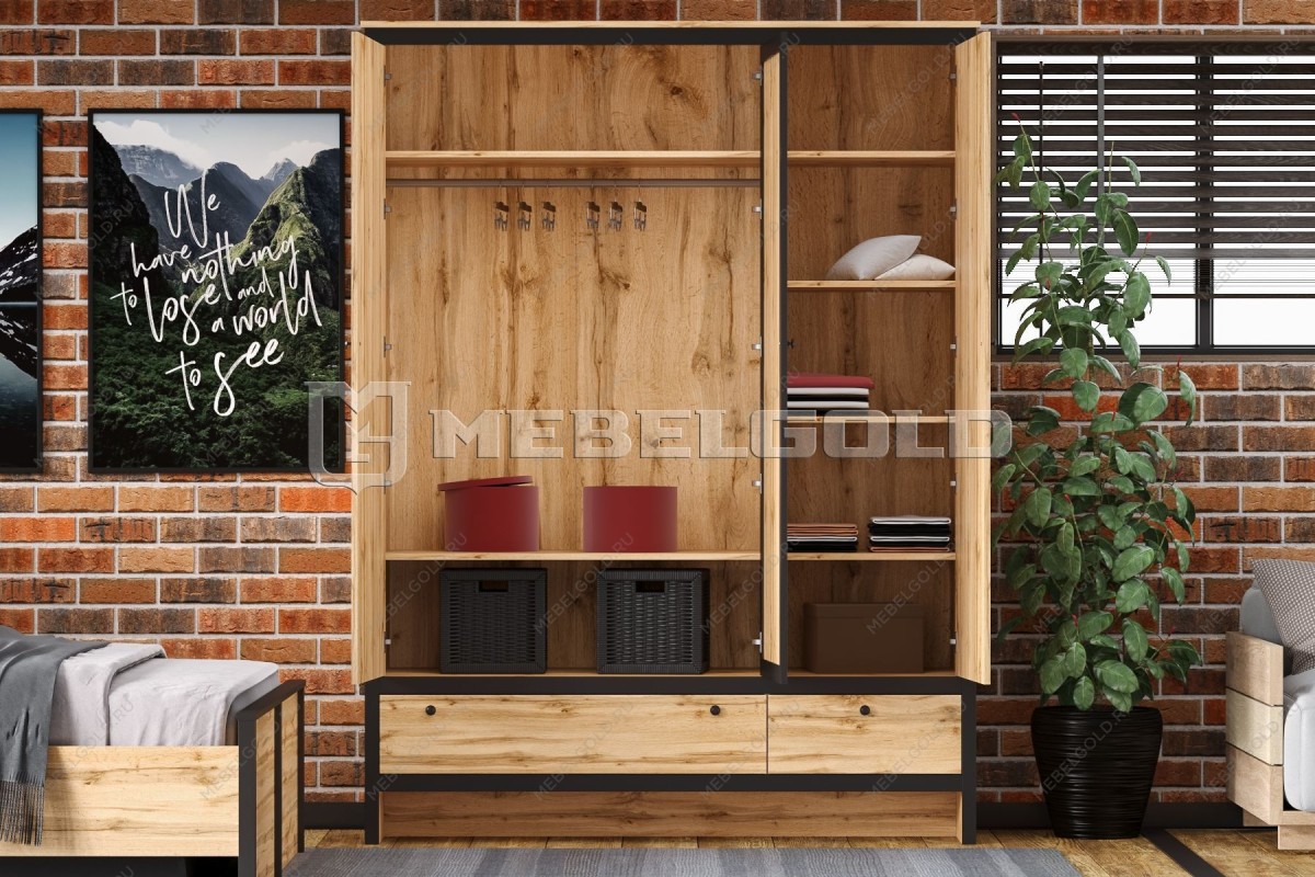 Шкаф Лофт SZF3D2S | изображение 3