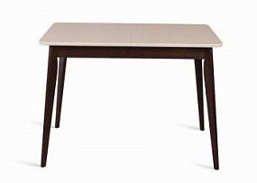 Стол Рэй-1030 (темный тон/слоновая кость 9001) Прямоугольный