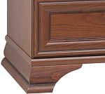 Шкаф с витриной Кентаки REG2W1S каштан | изображение 2