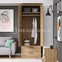 Шкаф Дорсет 2DG2S