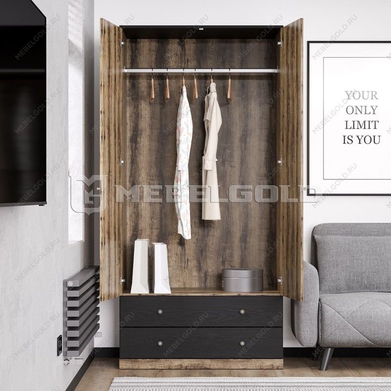 Шкаф 2-створчатый Джаггер 2DG2S | изображение 3