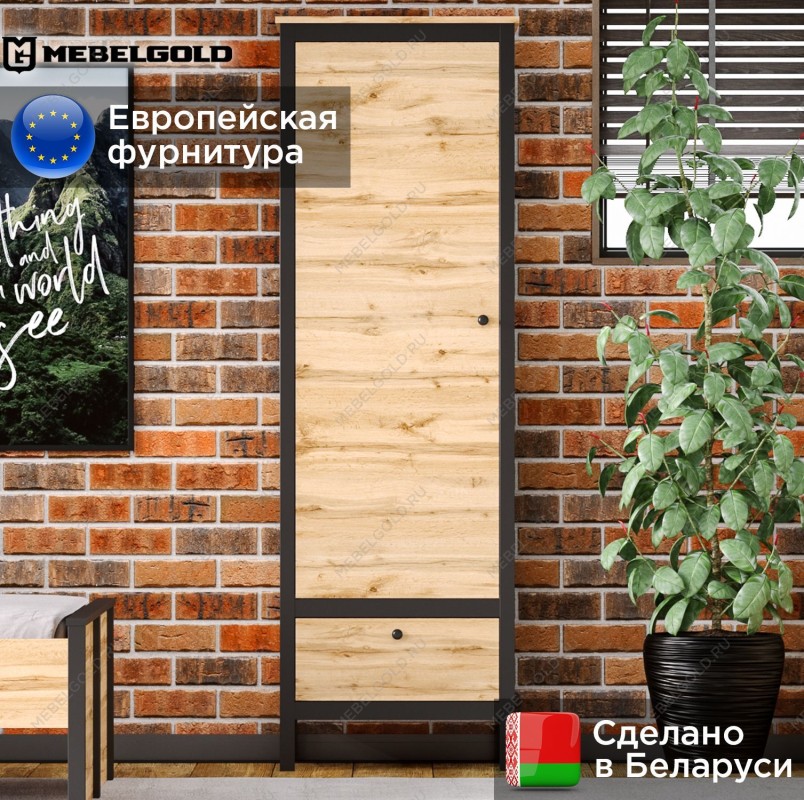 Шкаф Лофт REG1D1S | изображение 1